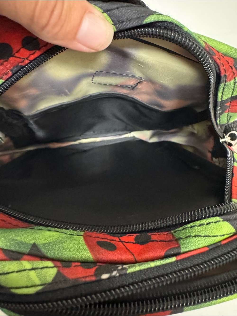 Ladybug Print Crossbody Bag in Green and Red - Picture 5 of 5